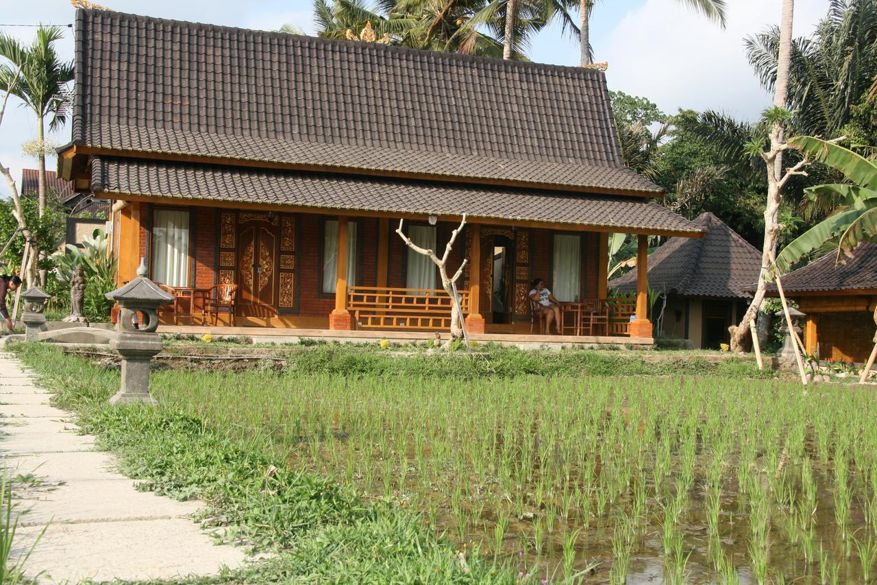 Mesari Hotel Ubud Exterior foto